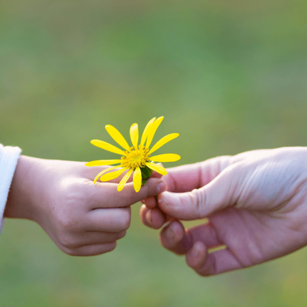 Varno postavljanje mej- delavnica za starše, stare starše, vzgojitelje...